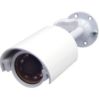B/W Waterproof Bullet With Infrared LED Lighting And 3 Ft Cable - White Housing